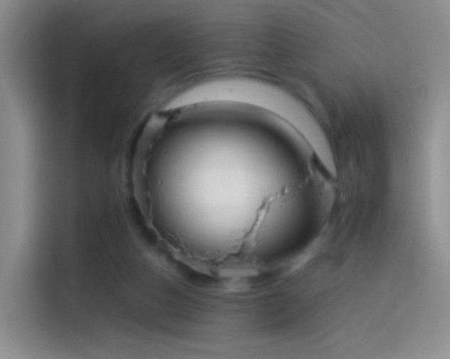 X0000114110162200910131350