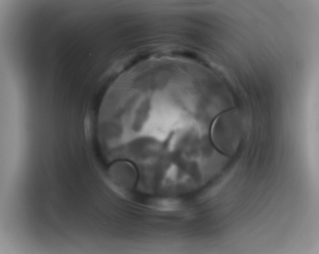 X0000114110165200910131350