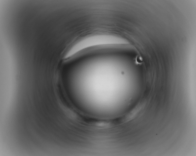 X0000114110168200910131350