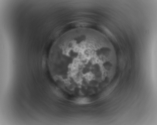 X0000114110169200910131350