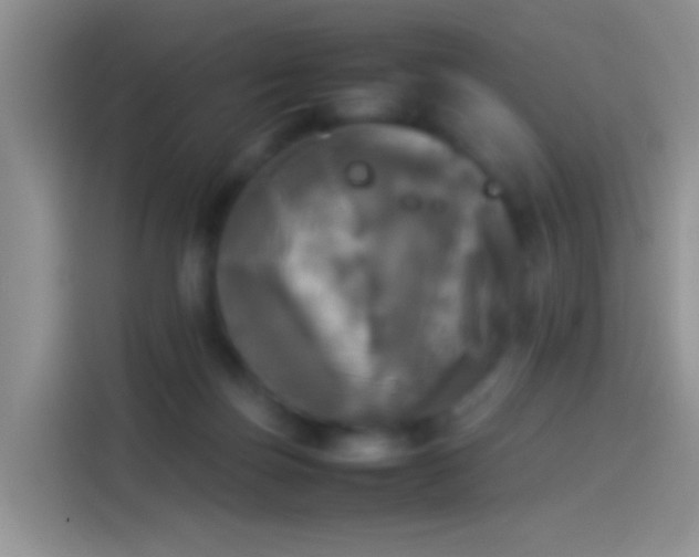 X0000114110171200910131350