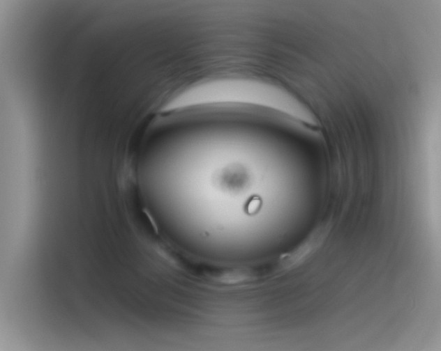 X0000114110172200910131350