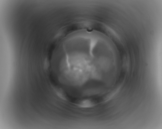 X0000114110173200910131350