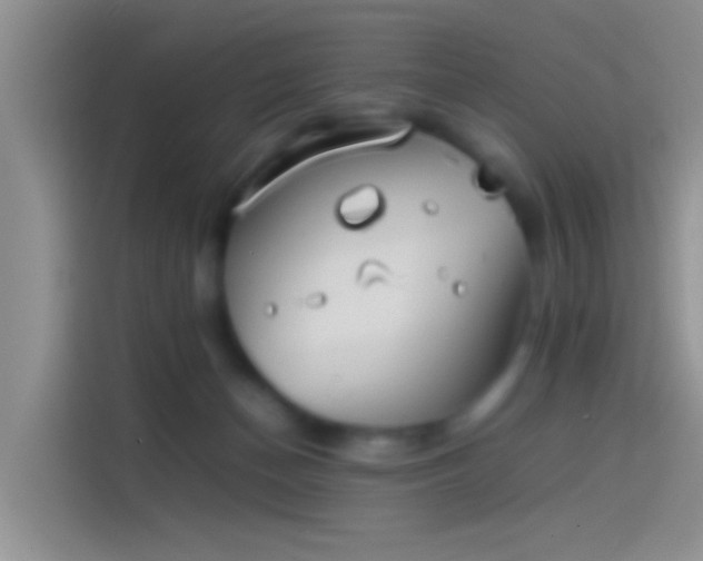 X0000114110174200910131350