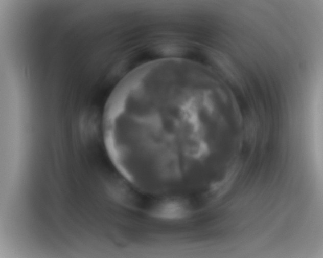 X0000114110175200910131350