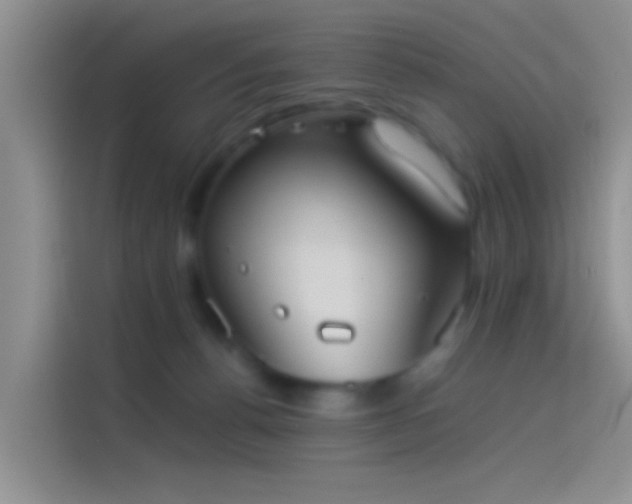 X0000114110176200910131350