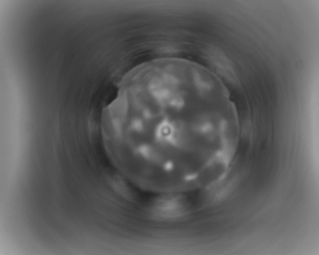 X0000114110179200910131350