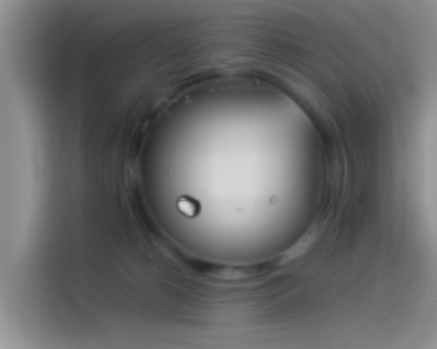 X0000114110180200910131350