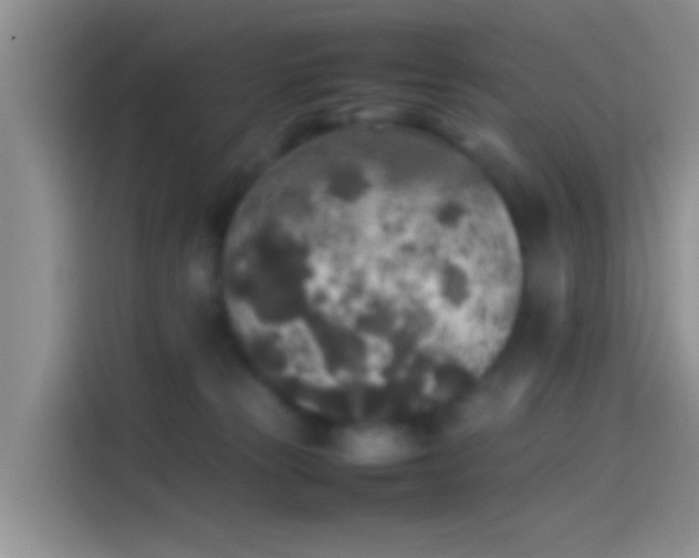 X0000114110181200910131350