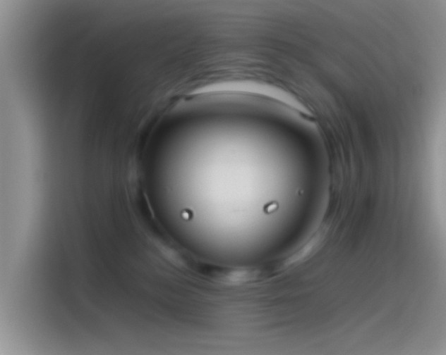 X0000114110184200910131350