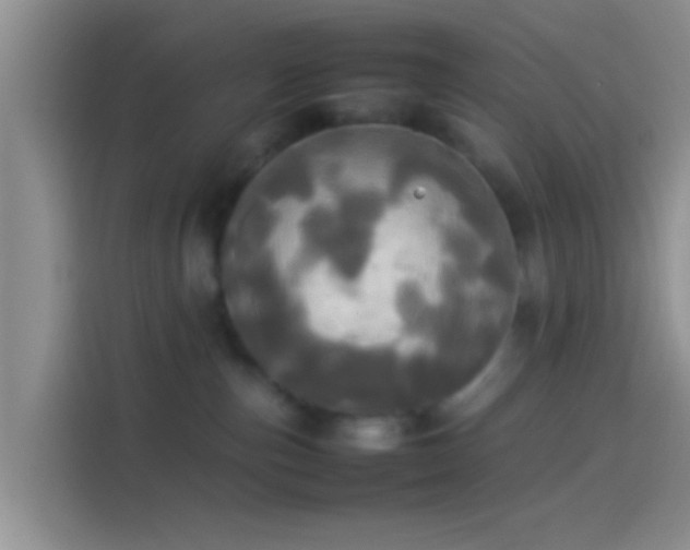 X0000114110187200910131350