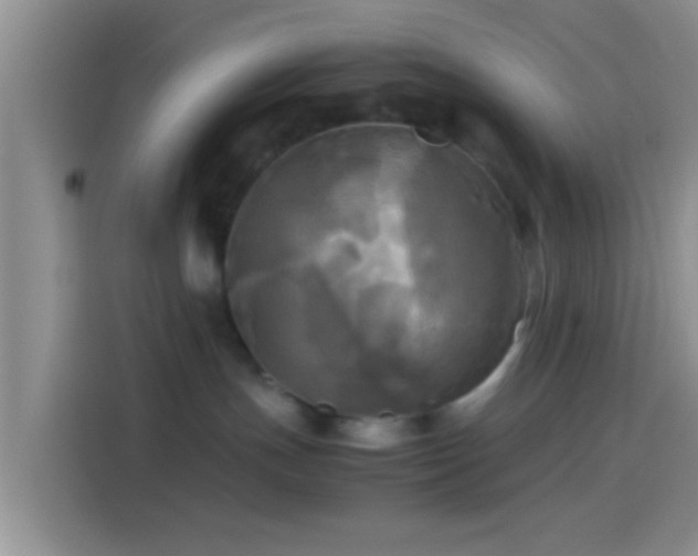 X0000114110191200910131350