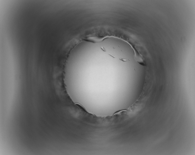 X0000114110192200910131350