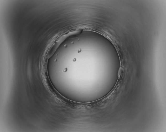 X0000114110193200910131349