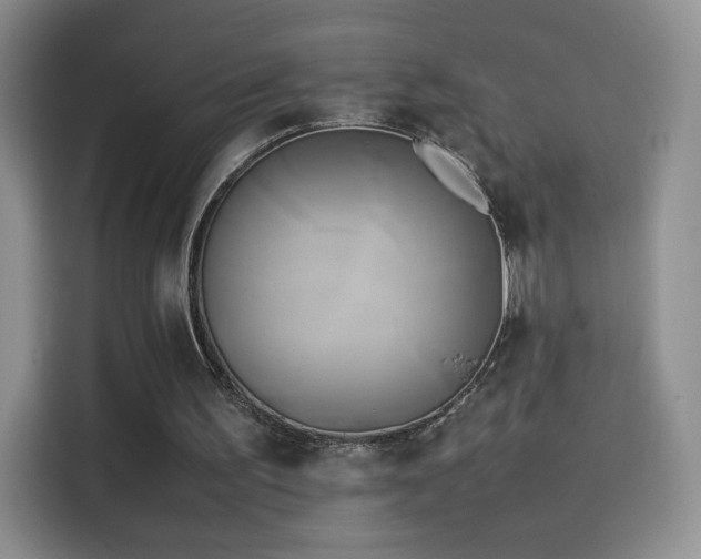 X0000114110195200910131349