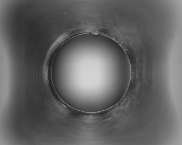 X0000114110197200910131349
