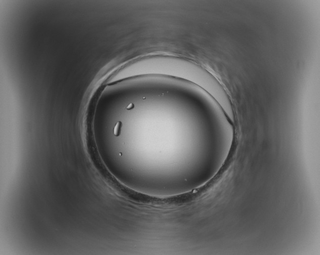 X0000114110199200910131349