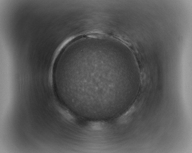 X0000114110200200910131349