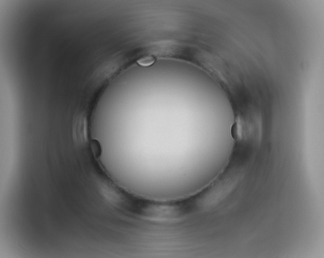 X0000114110205200910131349