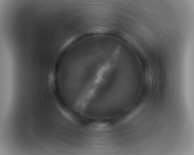 X0000114110208200910131349