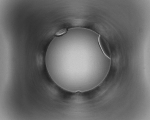X0000114110211200910131349