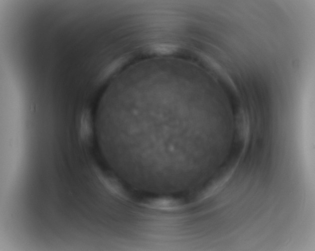 X0000114110212200910131349