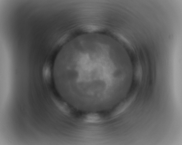 X0000114110214200910131349