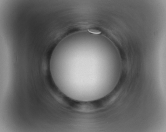 X0000114110215200910131349