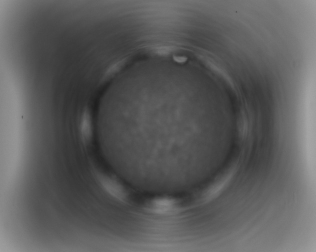 X0000114110216200910131349