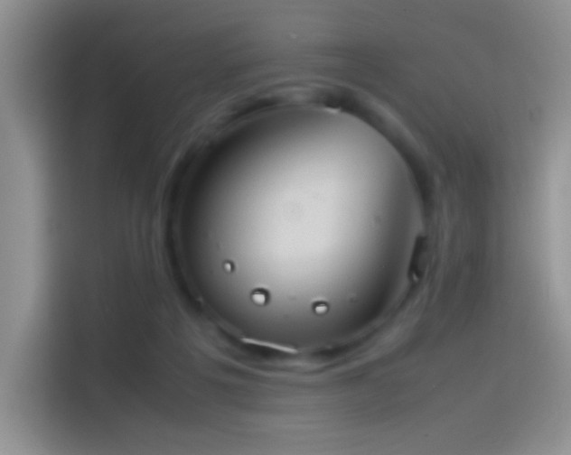 X0000114110217200910131349
