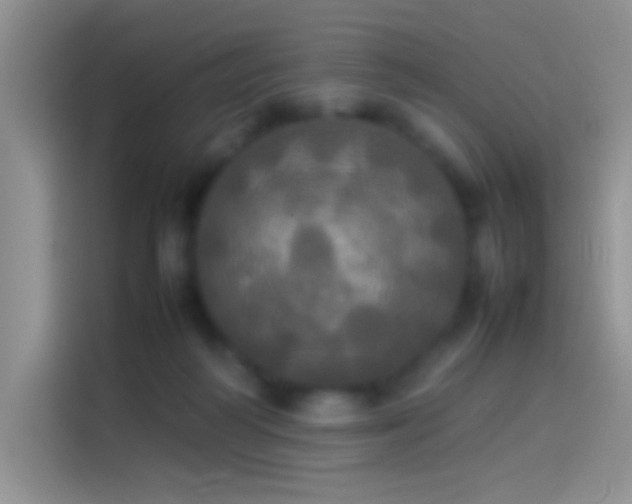 X0000114110218200910131349