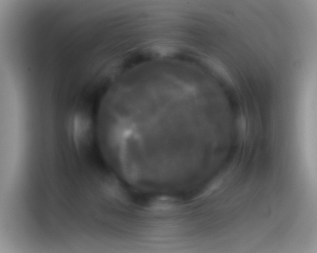 X0000114110222200910131349