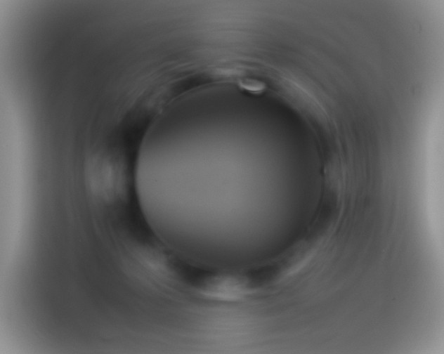 X0000114110223200910131349