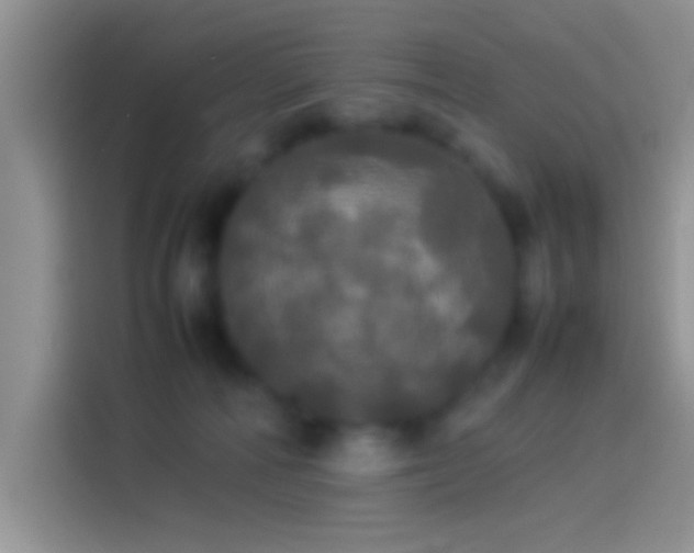 X0000114110226200910131349