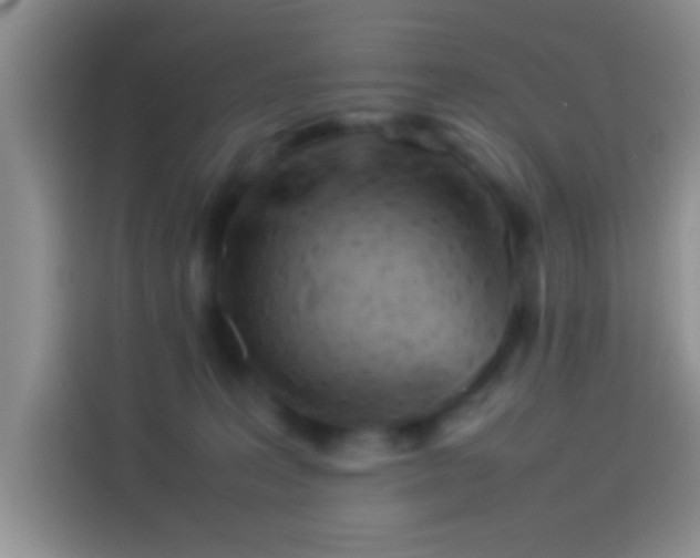 X0000114110227200910131349