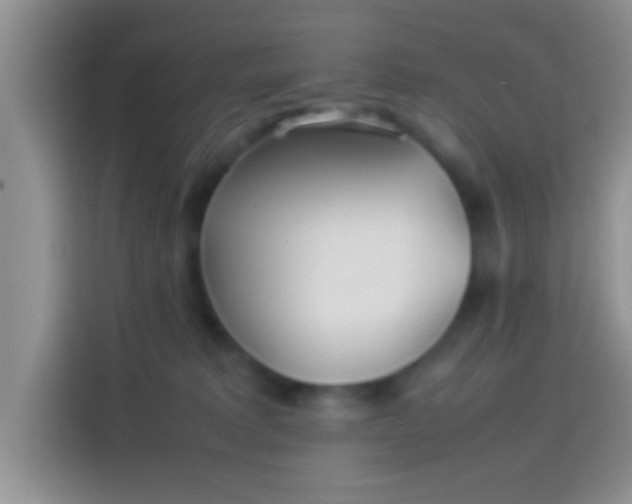 X0000114110229200910131349