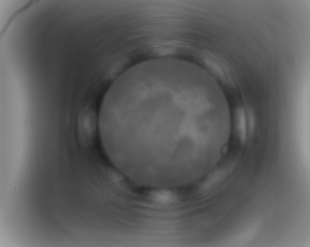 X0000114110230200910131349