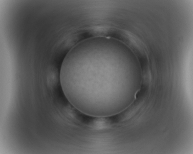 X0000114110231200910131349
