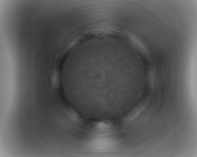 X0000114110232200910131349