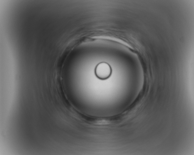 X0000114110233200910131349