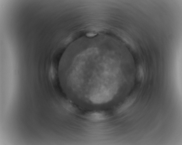 X0000114110236200910131349