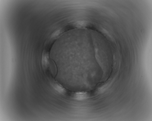 X0000114110240200910131349