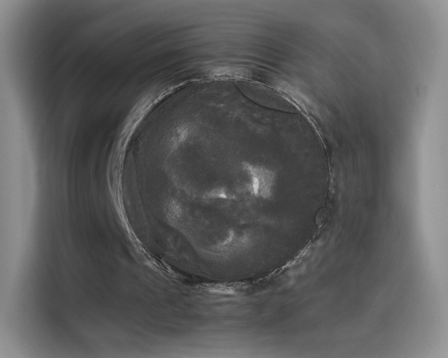 X0000114110241200910131348