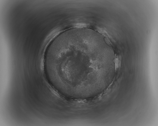 X0000114110243200910131348