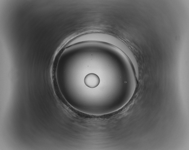 X0000114110244200910131348