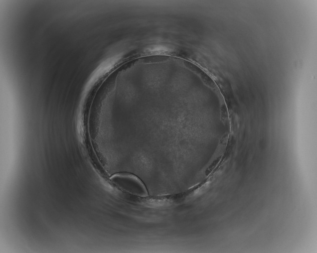 X0000114110245200910131348