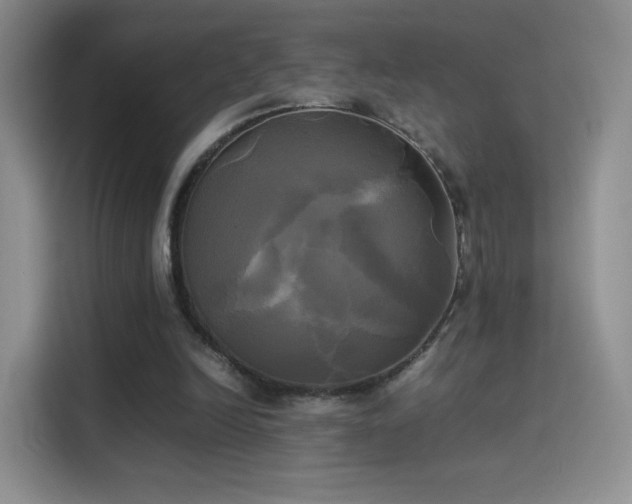 X0000114110246200910131348
