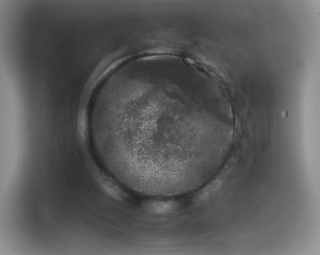 X0000114110247200910131348