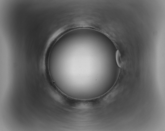 X0000114110248200910131348