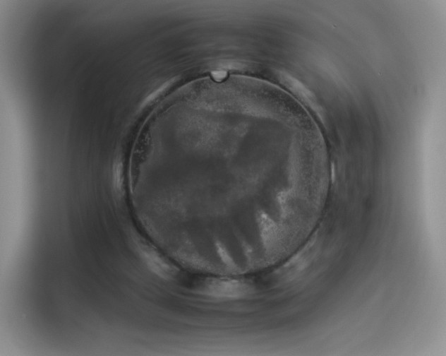 X0000114110249200910131348